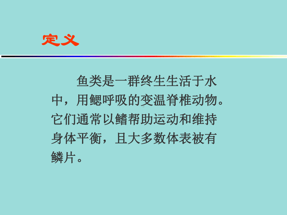 高中生物竞赛课件：鱼纲.ppt_第2页