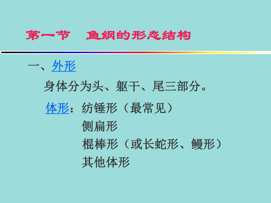 高中生物竞赛课件：鱼纲.ppt_第3页