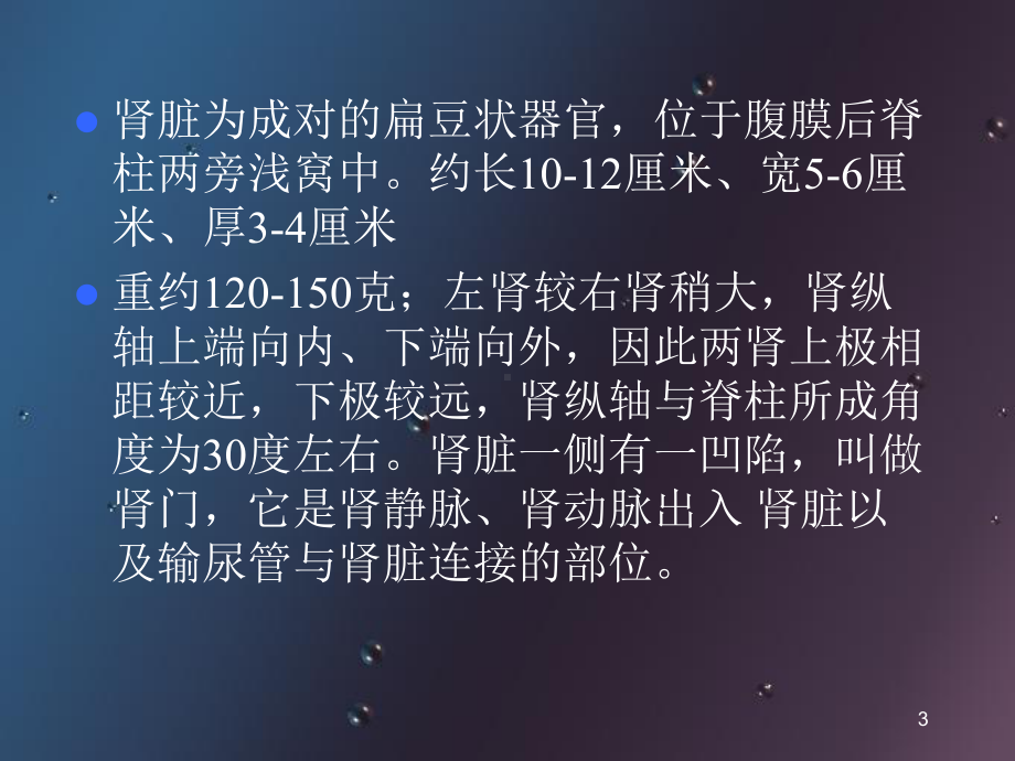 肾切除手术配合课件.ppt_第3页