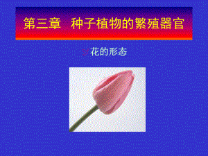 第三章种子植物的繁殖器官课件.ppt