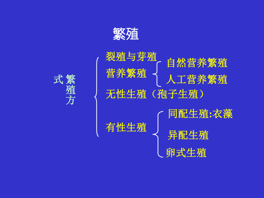 第三章种子植物的繁殖器官课件.ppt_第2页