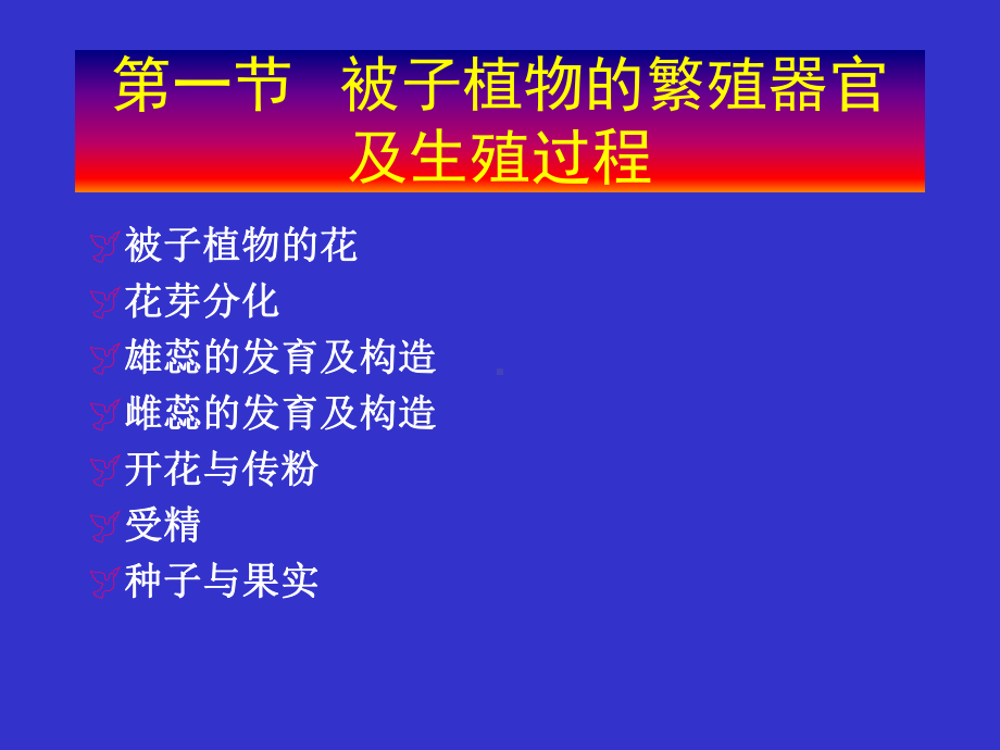 第三章种子植物的繁殖器官课件.ppt_第3页