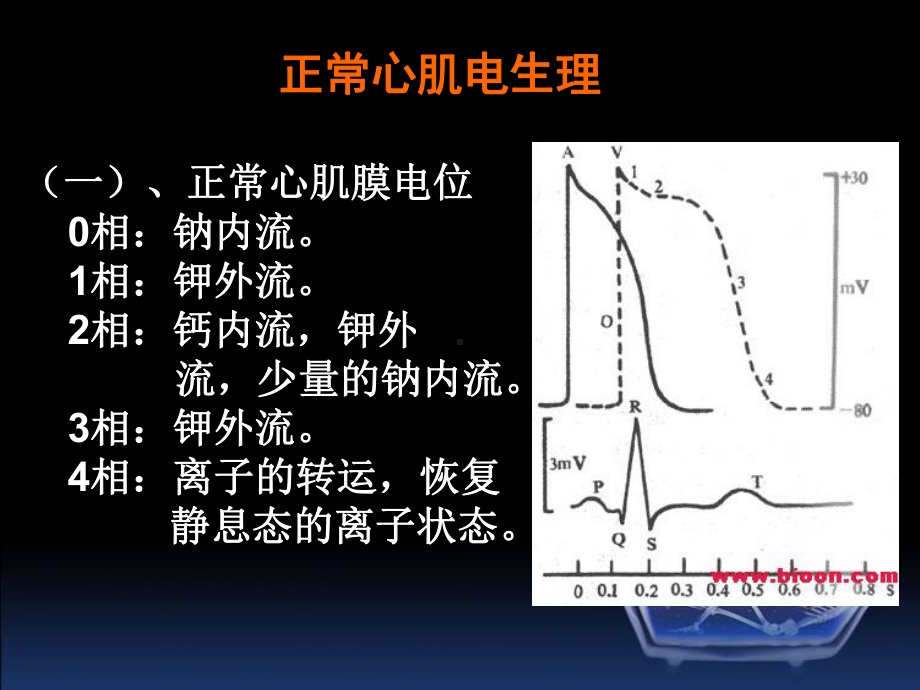 相关专业知识三课件.ppt_第2页