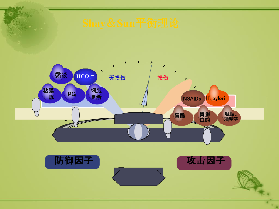 胃黏膜课件.ppt_第3页