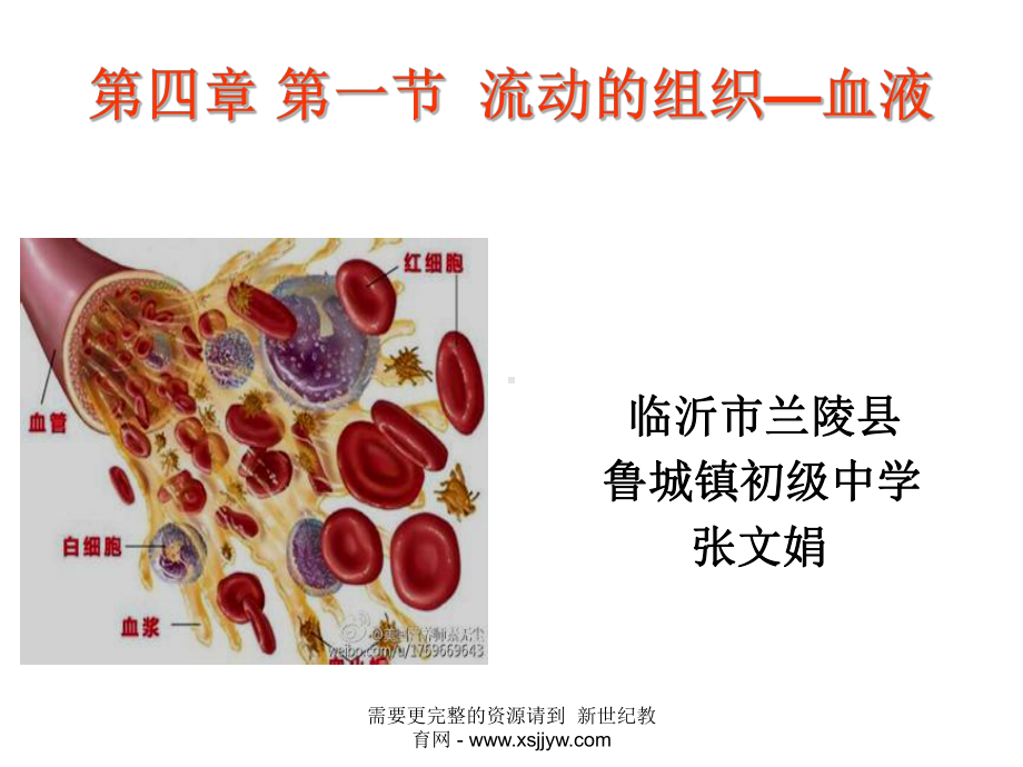 流动的组织(课件+教案+练习+反思).ppt_第3页