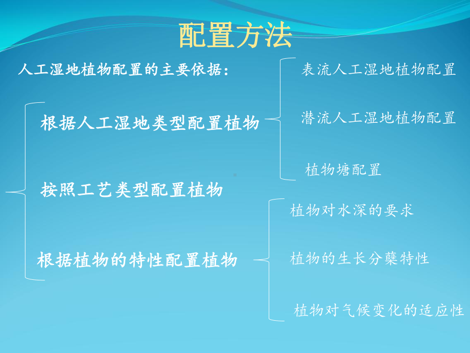 湿地植物配置课件.ppt_第3页