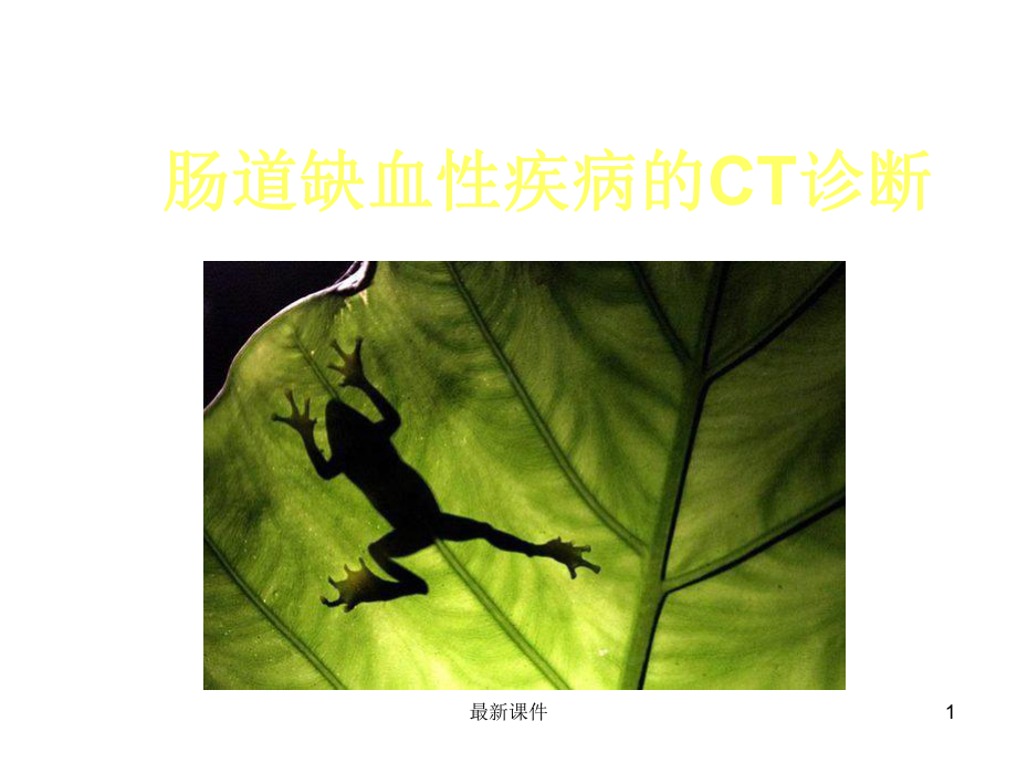 肠道缺血性疾病的CT诊断课件.ppt_第1页