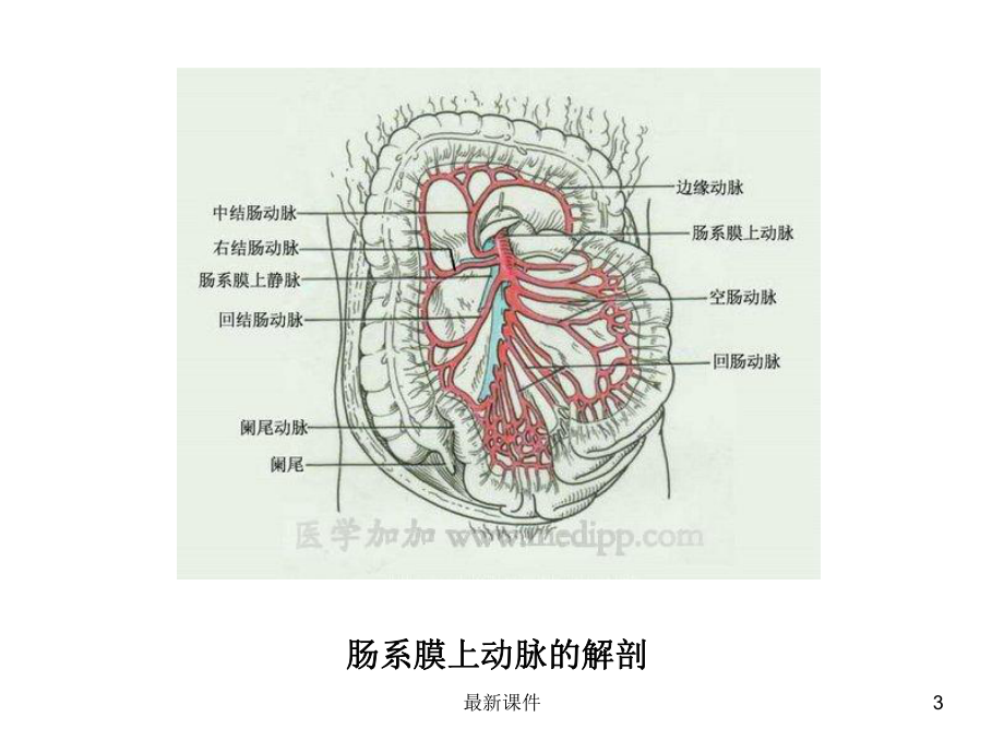 肠道缺血性疾病的CT诊断课件.ppt_第3页