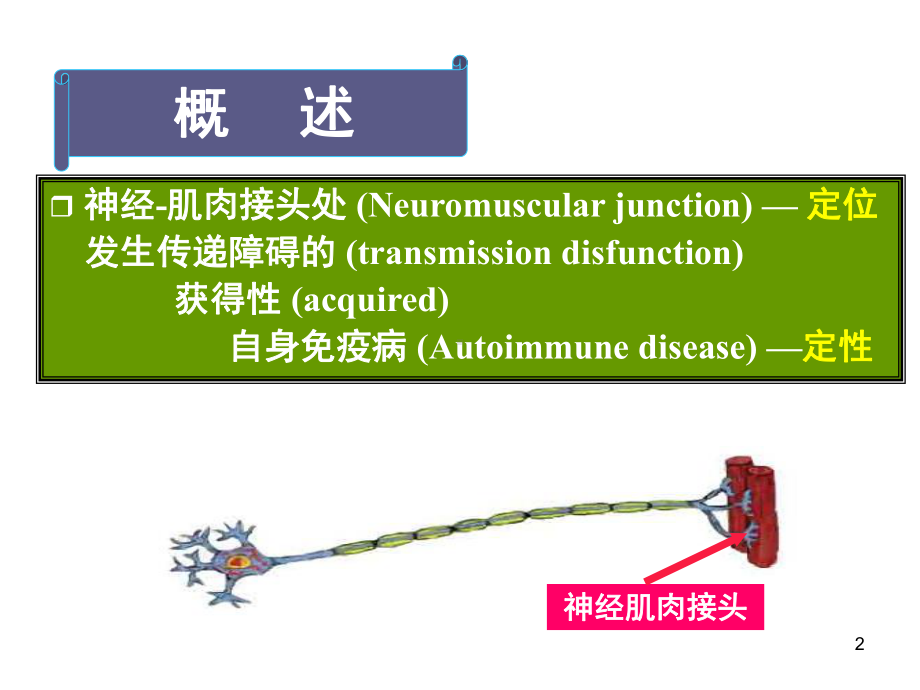 重症肌无力简介课件.pptx_第2页