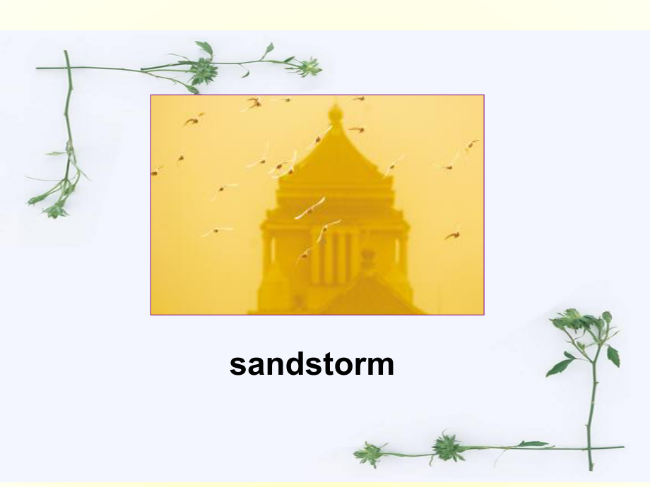 高中英语-Module4《Sandstorms-in-Asia》Reading课件1-外研版必修3.ppt--（课件中不含音视频）--（课件中不含音视频）_第3页