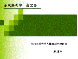 第六章感觉系统课件.ppt