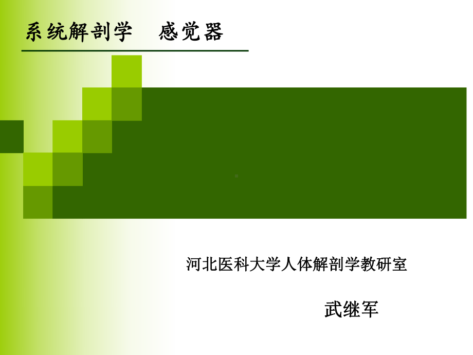 第六章感觉系统课件.ppt_第1页