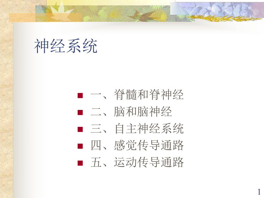 神经系统解剖学医学课件.ppt_第1页