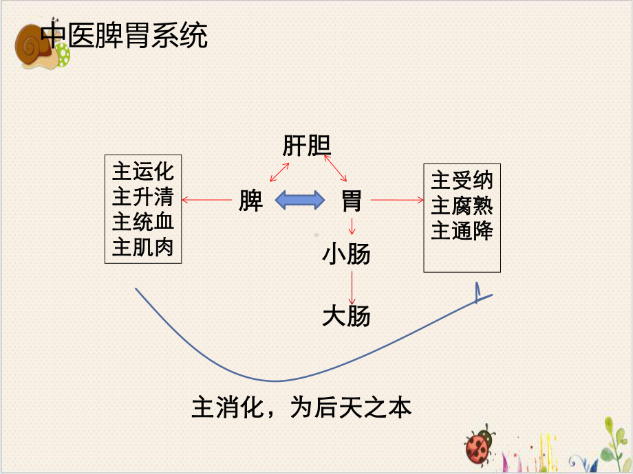 消化系统常见疾病的中药临床应用课件.pptx_第2页