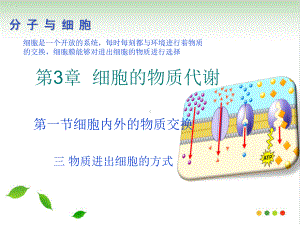 物质进出细胞的方式课件.ppt