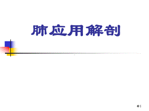 肺的应用解剖课件.ppt