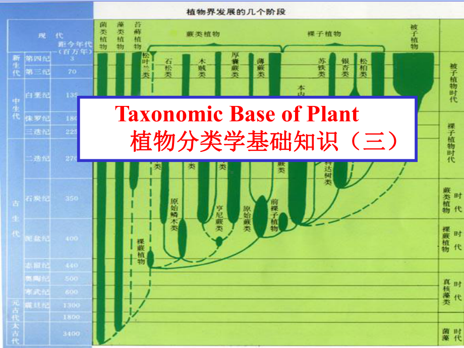 生物竞赛辅导-植物分类(三)课件.ppt_第1页