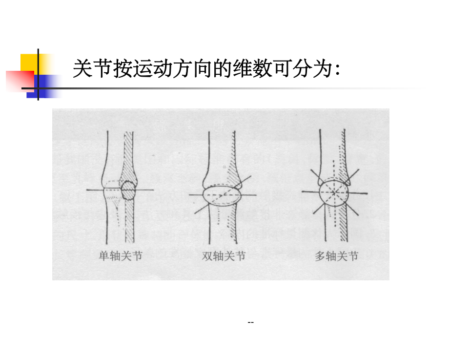 第三章-人体动态特征与服装变形课件.ppt_第3页