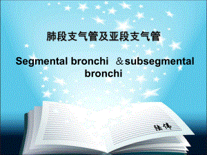 肺段支气管及亚段支气管-陆伟课件.ppt