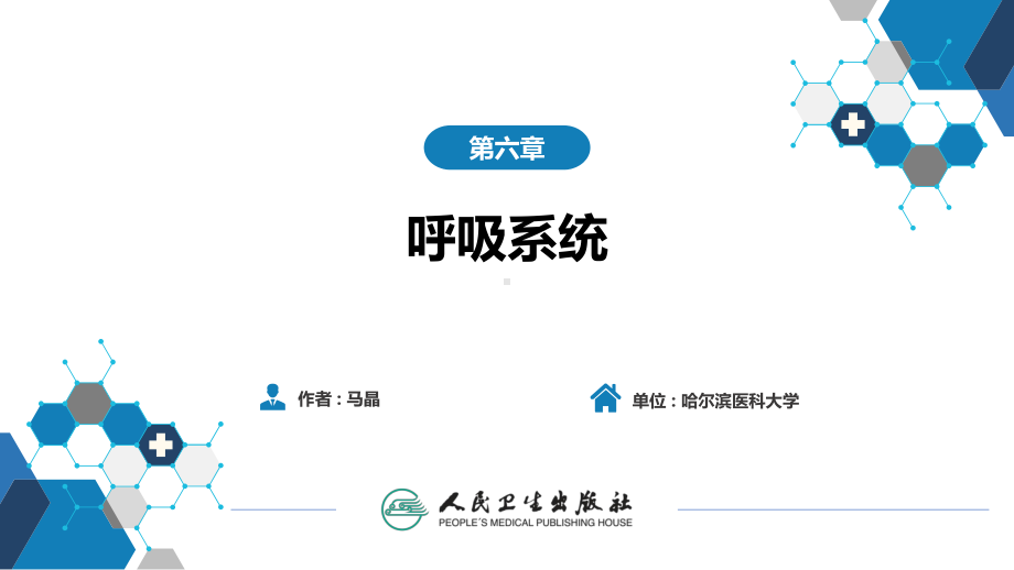 系统解剖学第六章-呼吸系统课件.ppt_第2页