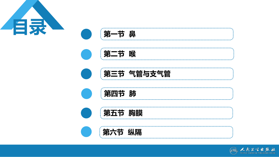 系统解剖学第六章-呼吸系统课件.ppt_第3页