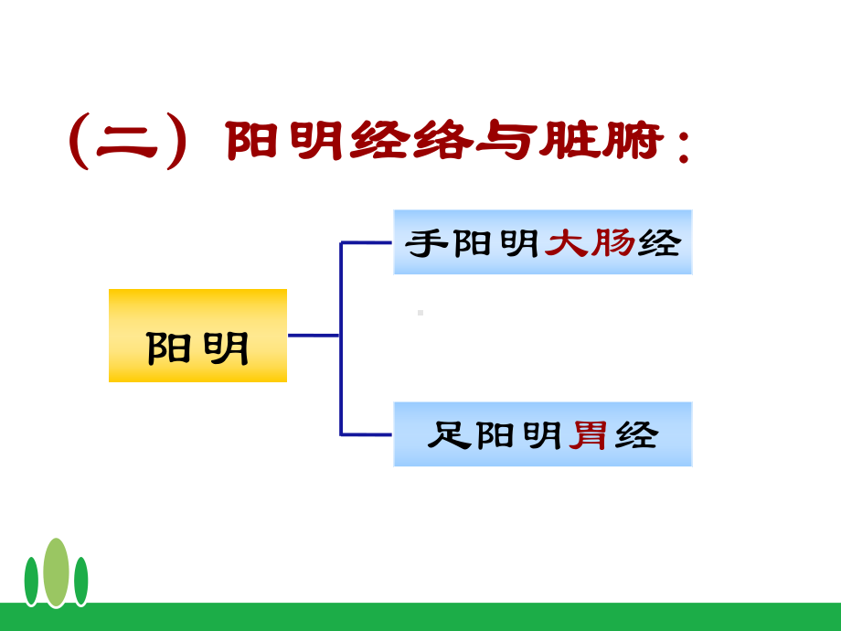 阳明病辨证课件.ppt_第3页