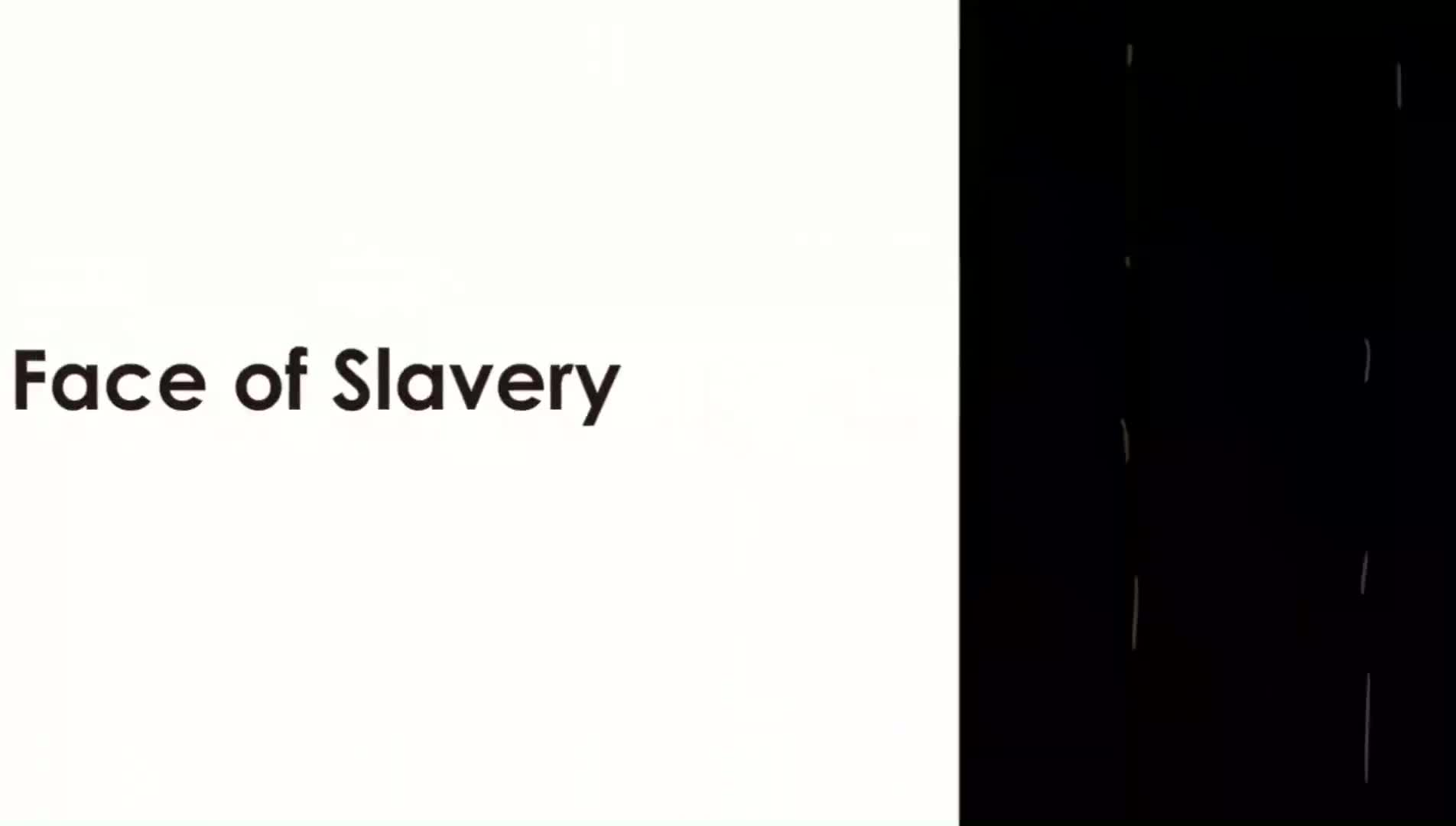 （新外研版高中英语选择性必修二）Unit 4TheFaceofSlavery.mp4