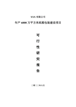 年产6000万平方米纸箱包装建设可行性研究报告建议书.doc