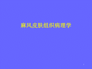 麻风病理课件.ppt