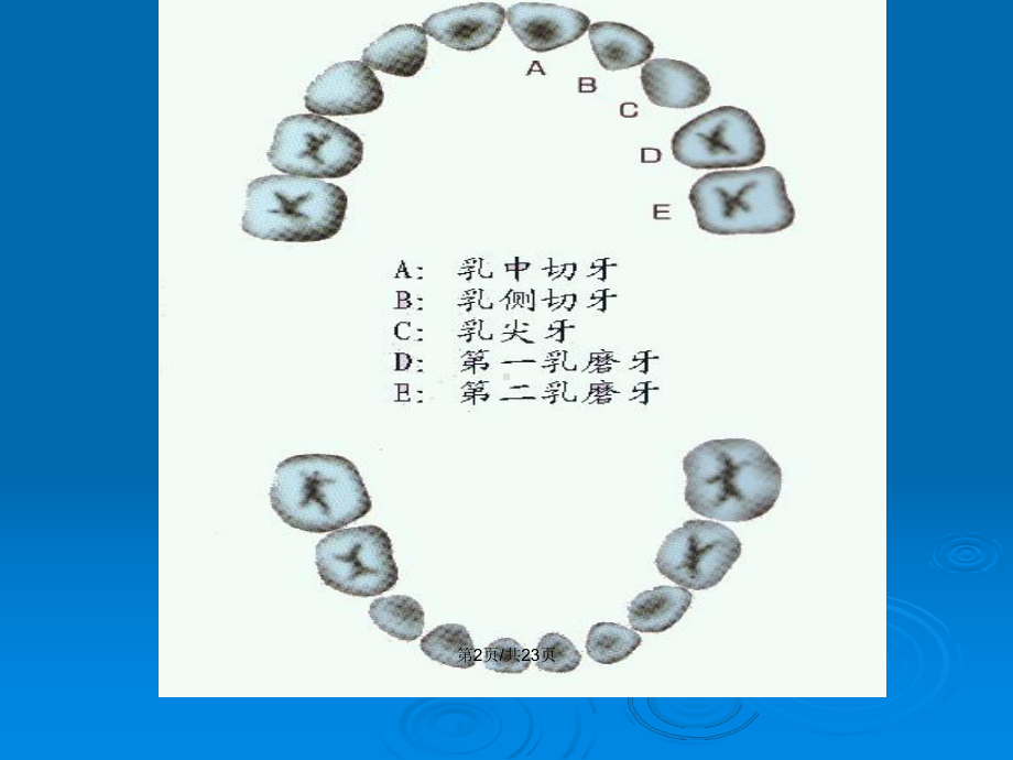 龋齿的预防教案课件.pptx_第3页