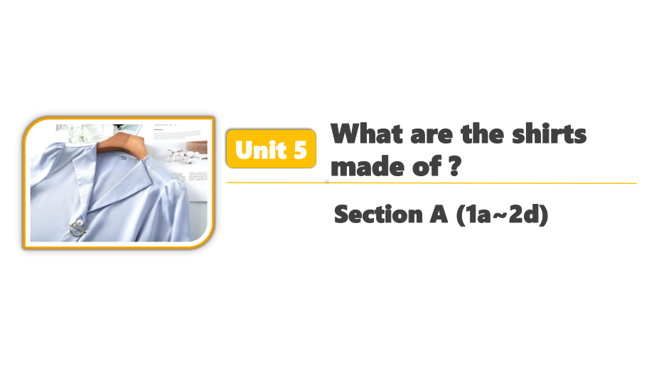 人教版英语九年级全一册Unit 5 Section A (1a~2d)课件.pptx_第1页