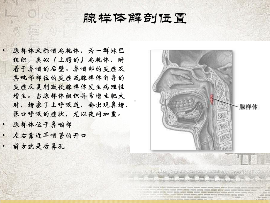 鼻动力系统下腺样体切除术医学课件.pptx_第2页