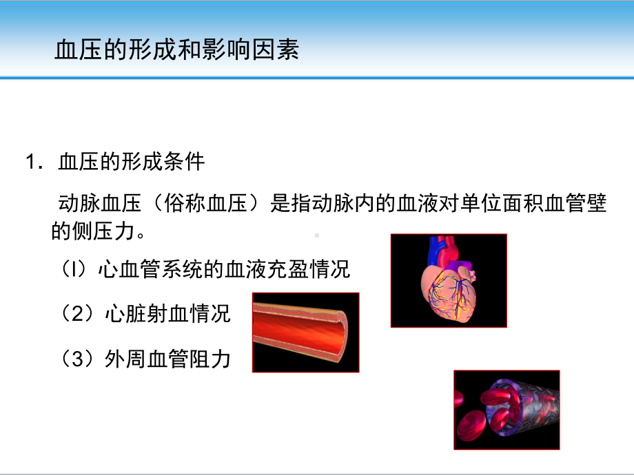 高血压的发病机制课件.pptx_第3页