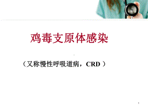 鸡毒支原体感染课件.ppt