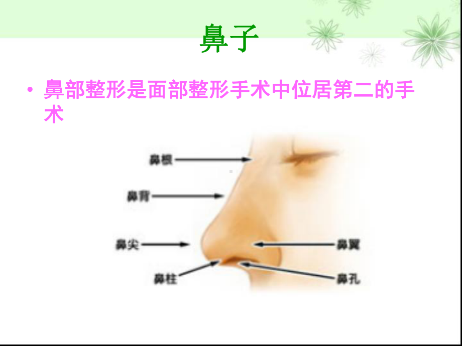 鼻部整形隆鼻术课件.ppt_第3页