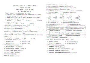 山东省青岛市青大附中2021-2022九年级上学期化学期中试卷及答案.pdf