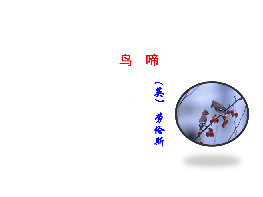 鸟啼公开课-课件.ppt_第2页