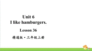 人教精通版三年级英语上册Lesson 36课件.pptx