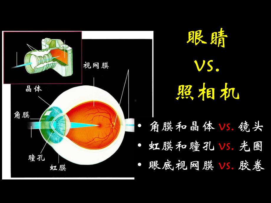 黄斑变性的诊治课件.ppt_第2页