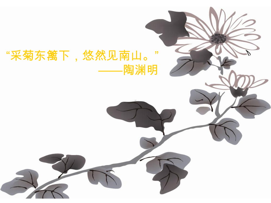 鹧鸪天·桂花课件六.ppt_第2页