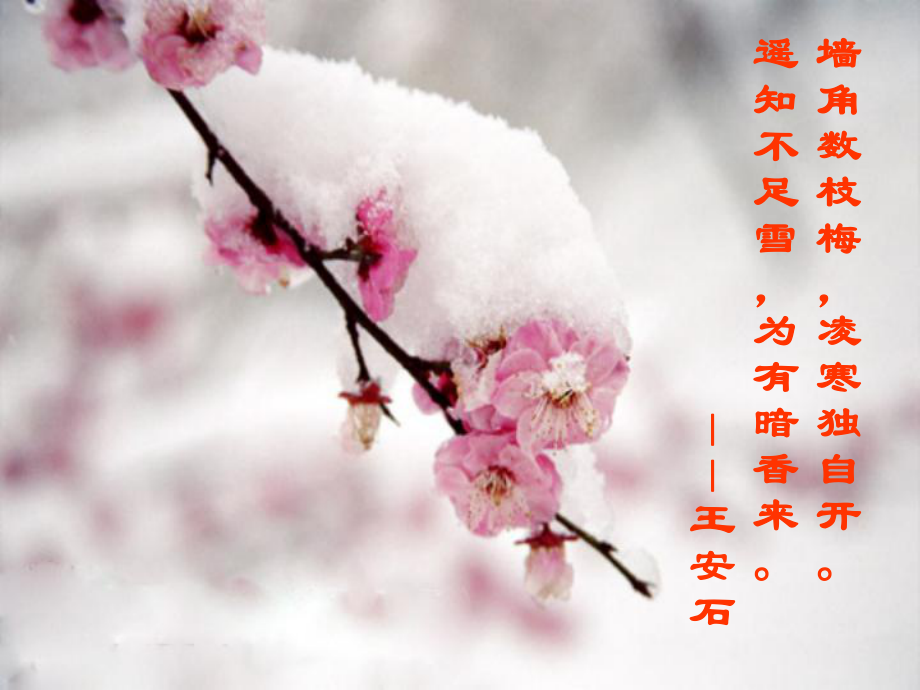 鹧鸪天·桂花课件六.ppt_第3页