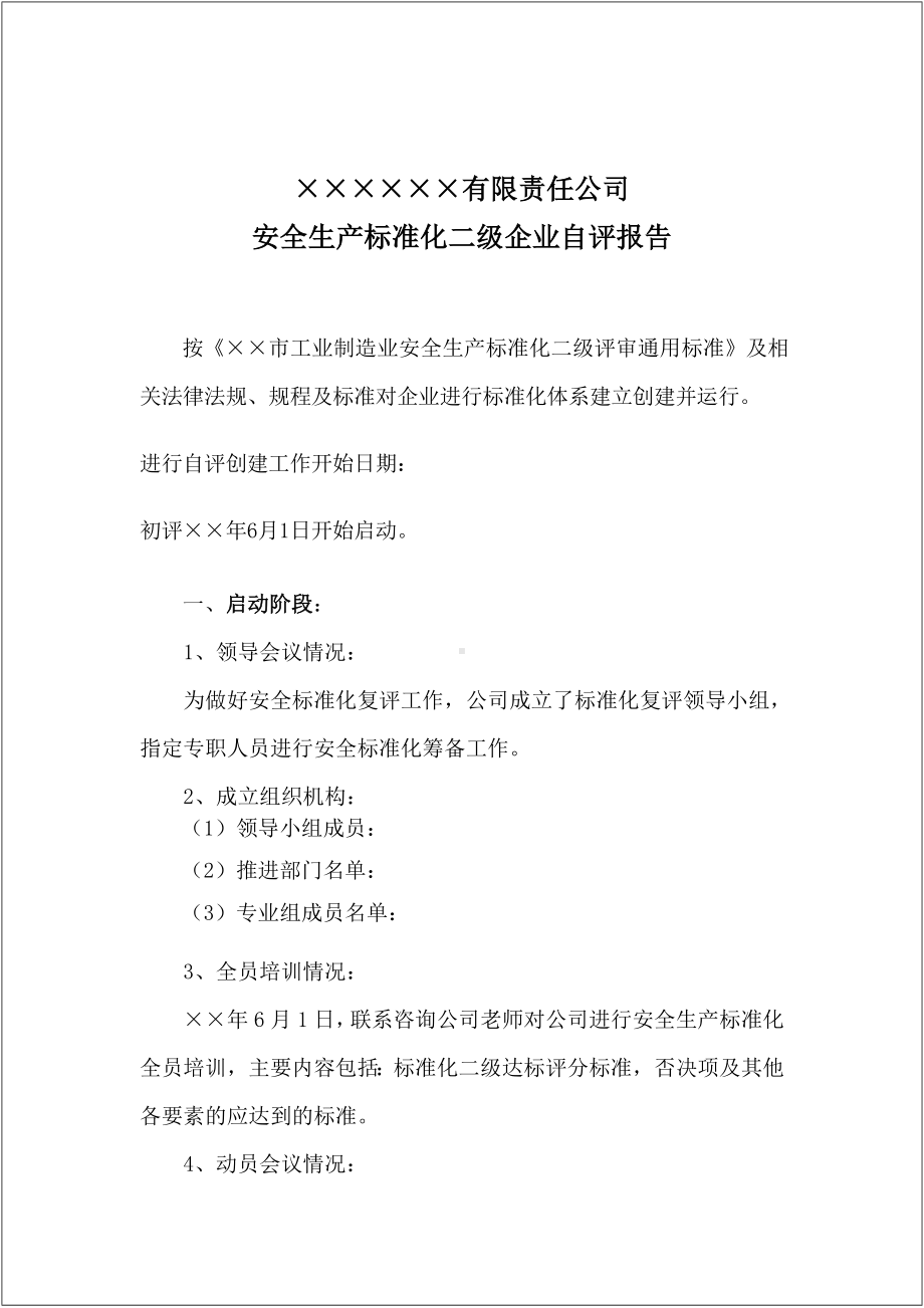 企业二级安全标准化有限公司自评报告范本参考模板范本.doc_第1页