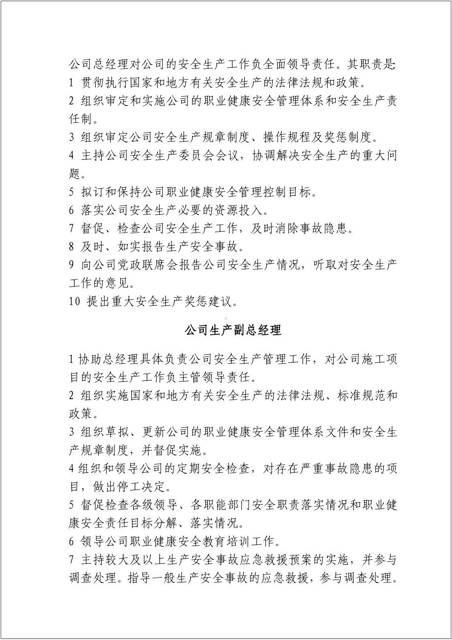 全员安全生产责任制-2021版安全法修订参考模板范本.doc_第3页