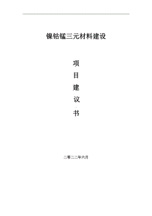 镍钴锰三元材料项目建议书（写作模板）.doc