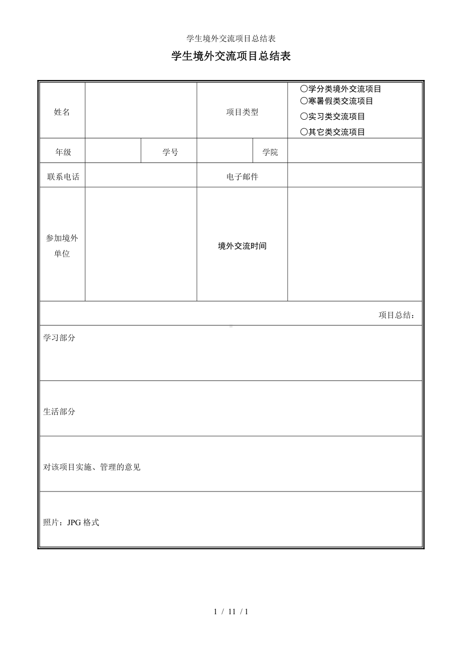 学生境外交流项目总结表参考模板范本.doc_第1页