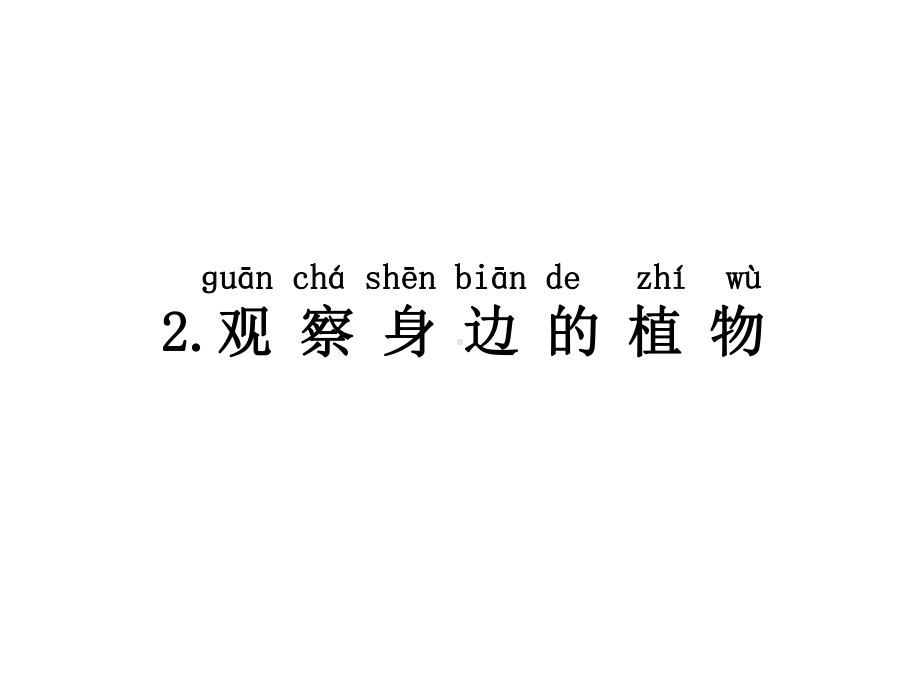 湘教版一年级下册科学42观察身边的植物课件.ppt_第1页