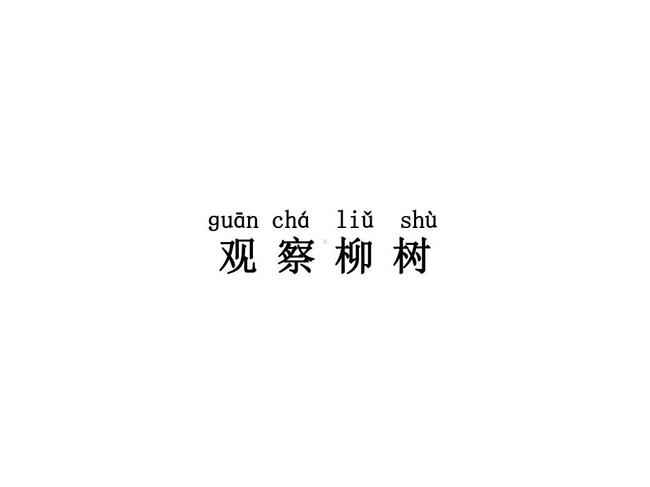 湘教版一年级下册科学42观察身边的植物课件.ppt_第3页