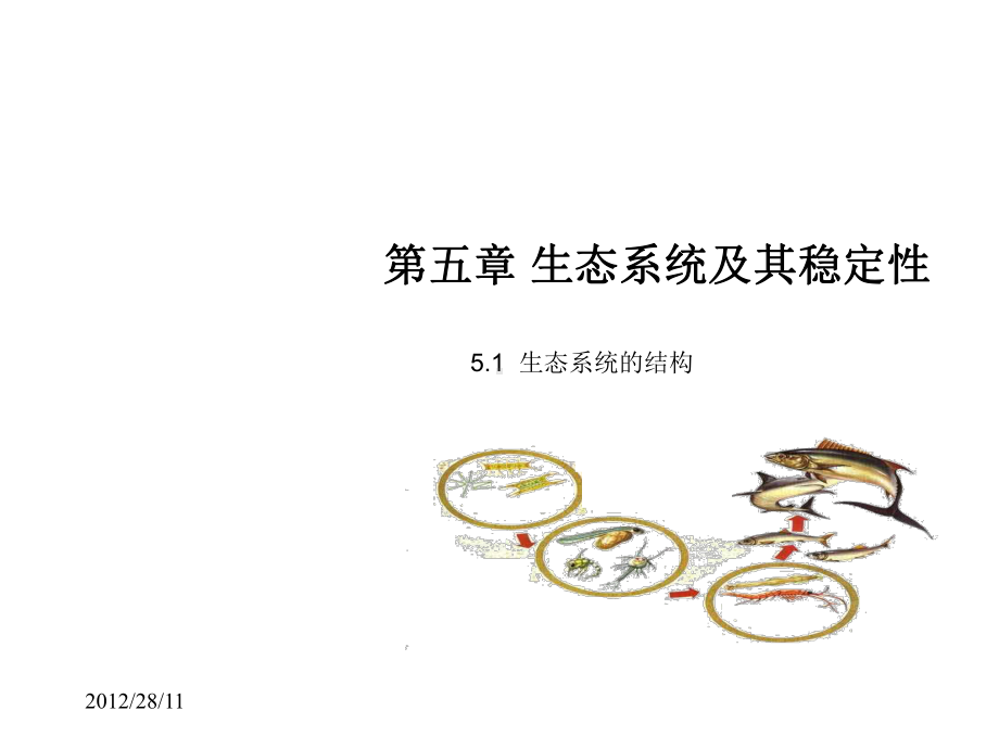 生态系统的结构课件.ppt_第1页