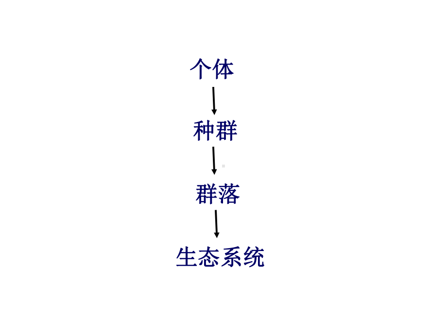 生态系统的结构课件.ppt_第2页