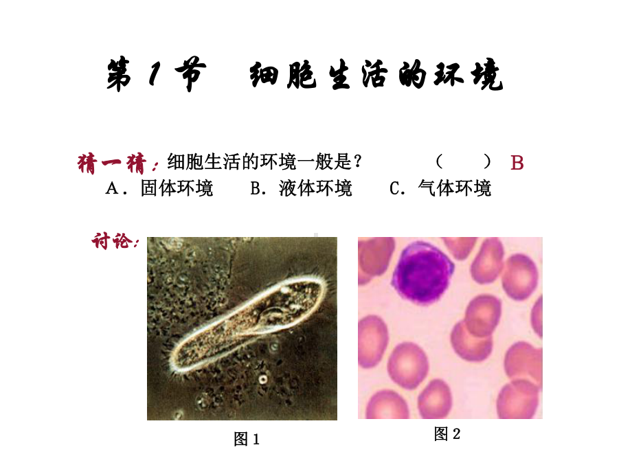 用-细胞生活的-环境课件.ppt_第2页